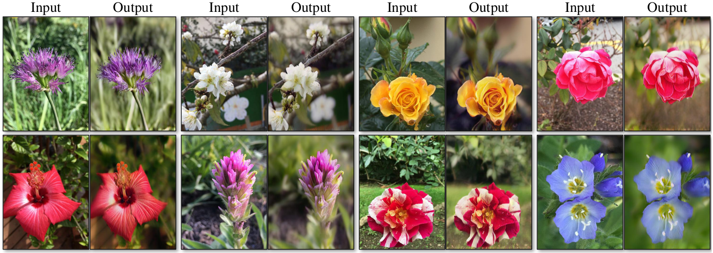 Paper Insight: Image-to-image translation - Pix2pix and Cycle GAN